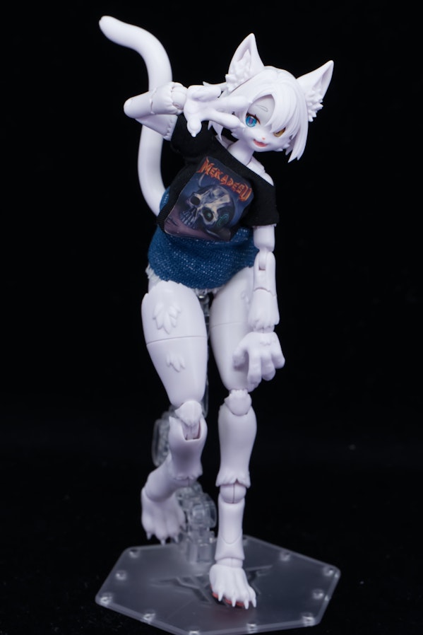 布服