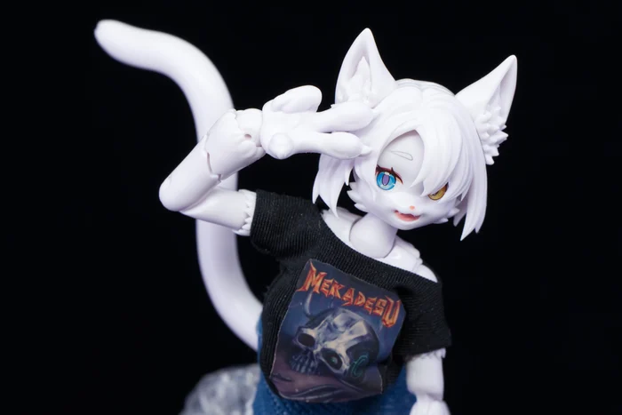 アオシマ 「けもプラ カオマニー」パチ組レビュー
