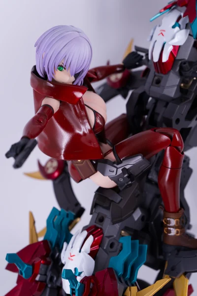 スサノヲ・ライダー