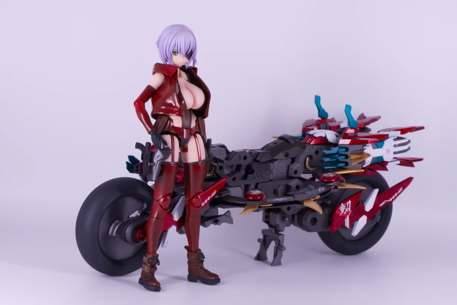 スサノヲ・ライダー