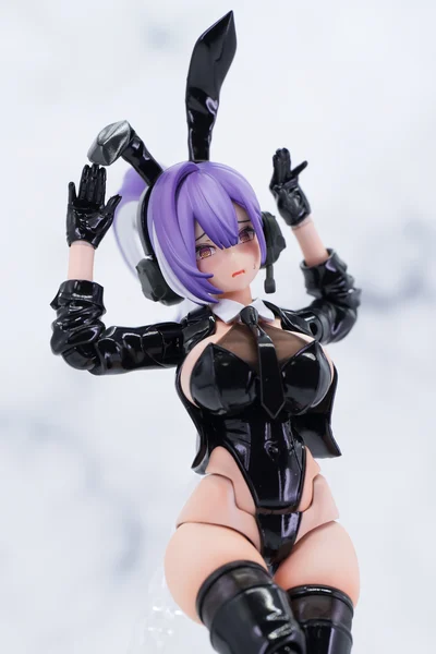 スコル・バニーシューター