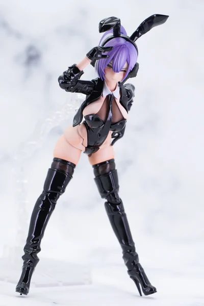 スコル・バニーシューター